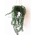 Yiwu high imitation mini artificial hanging potted bonsai